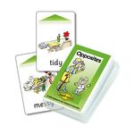 The House Flash Cards for Flash Bot or Smart Chute
