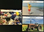 Picture Vocabulary Cards:  Places