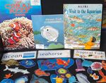 Coral Reef & Sea Informative Text Felt Board Set