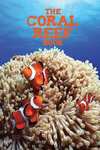 5070: Coral Reef & Sea Informative Text Felt Board Set
