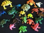 Frog Sorting Counters