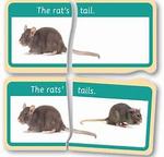 Possession Apostrophe