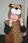 Tiger Costume