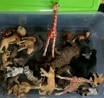 Box Full of Animals