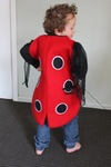 Ladybird Costume