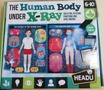 Human Body Under X-Ray 