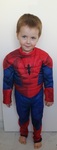 Reversible Spider Man Costume