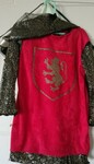 Red Knight Costume