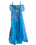 Elsa Costume