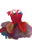 Rainbow Blossom Costume Size 2-4