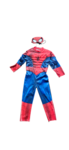 Spiderman Costume