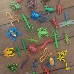 Frogs and Insects