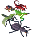 EC56: Giant Insect Set