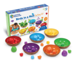 Birds in a Nest Sorting Set