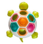 Pop & Slide Shelly Fidget Turtle