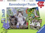 Kittens Jigsaw Puzzle - 3 x 49pc