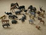 African Animals
