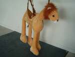 Wrap-N-Ride Lion Dress Up