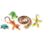 Jumbo Reptiles & Amphibians