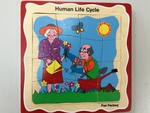 Human Life Cycle Layer Puzzle