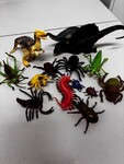 Dinosaurs and Insects