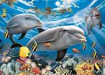 Ravensburger Dolphin Puzzle - 300