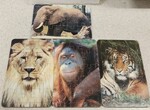 4 Jungle Animal Puzzles