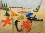 Ocean Animals