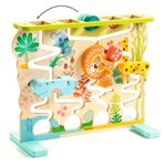 Cascadou Wooden Sliding Maze