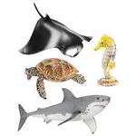Ocean Animals