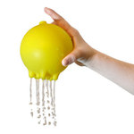 Plui Rainball and Rain Cloud