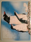 Penguin puzzle
