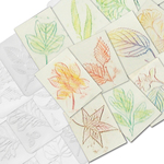 Leaf Rubbing Plates