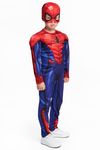 Spiderman Costume