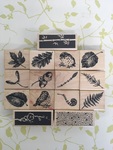 Forest Stamp Set