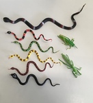 Snakes & Insects