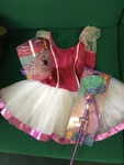 Princess Costume