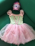 Princess Costume