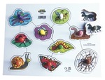Insects Peg Puzzle