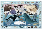 Arctic Life Search & Find Puzzle 64pieces