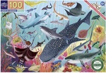 Love of Sharks Puzzle 100pcs