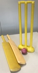 Cricket Set