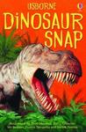 Dinosaur Snap Card Game