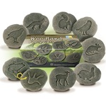 Let's Investigate Tactile Stones - Woodland Footprints
