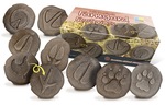 Let's Investigate Tactile Stones - Farmyard Footprints