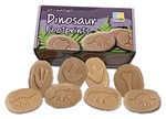Let's Investigate Tactile Stones - Dinosaur Footprints