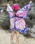 Mystical Monarch Butterfly Wings