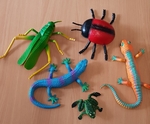 Lizards & Insects