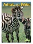 Animals & Their Families Book & Toys