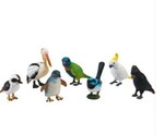 Australian Birds - Set of 7
